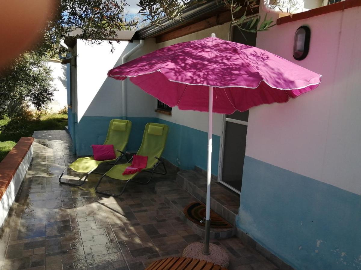 Casa Vacanze Daisy ترابيتو المظهر الخارجي الصورة